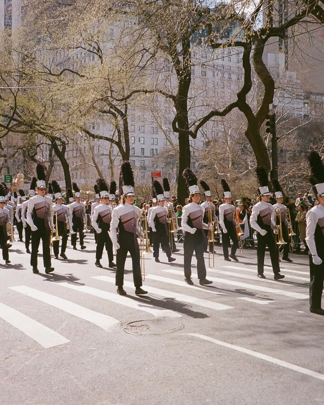 Saint Patrick's Day 3